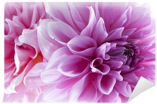 Nobody's Perfect - Trade Paperback (400x400)