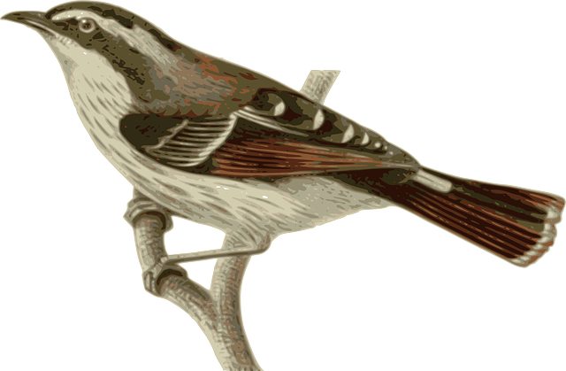 Twig Bird, Feathers, Animal, Red, Grey, Gray, Sitting, - Bird Perched On A Branch (640x419)