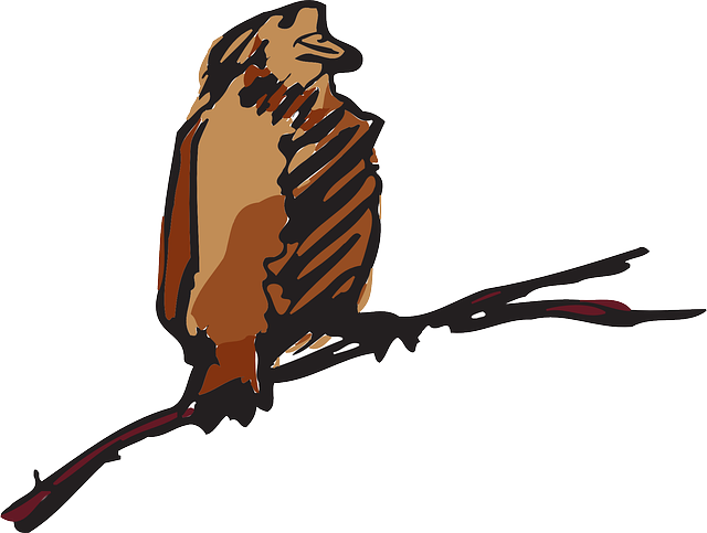 Perched Brown, Bird, Wings, Art, Animal, Feathers, - Bird (640x483)