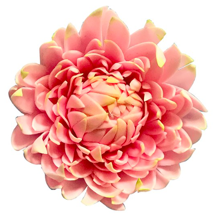 Cutter More Than A Dahlia, 3 Pieces - Dahlia (800x800)