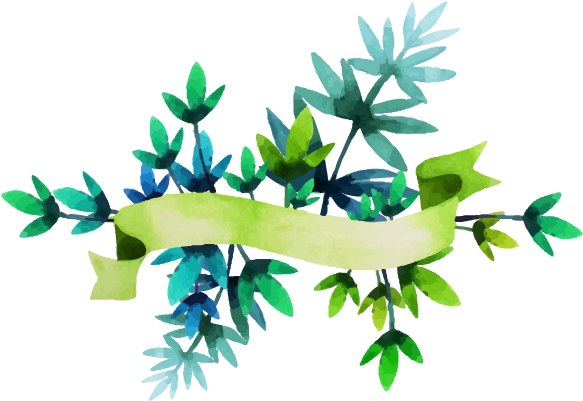 Current Herbs Available - Illustration (600x600)