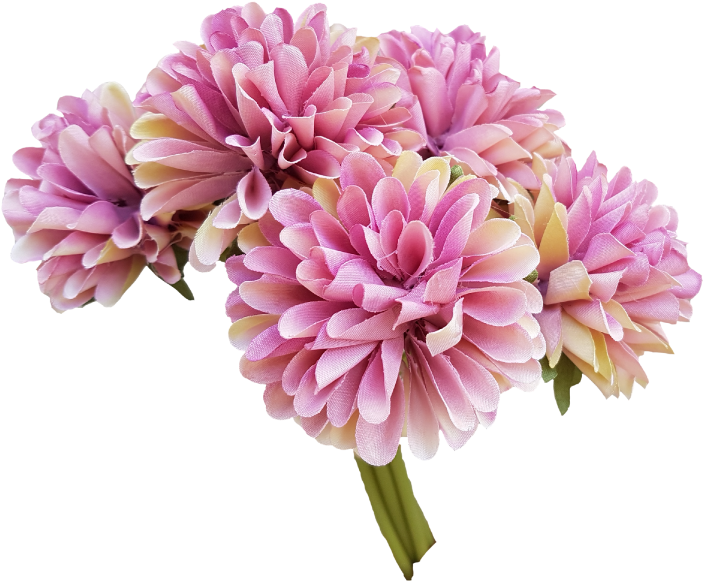 More View - Dahlia (800x600)