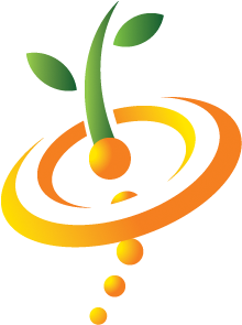 Little Gem Lettuce (300x400)