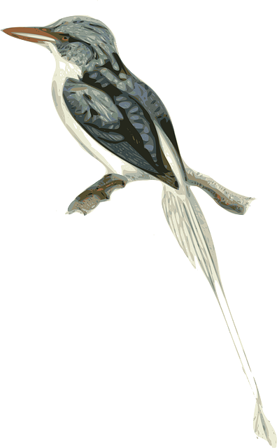 Beak Bird, Animal, Twig, Sitting, Brown, Beak - Transparent Branch Bird Clipart (396x640)