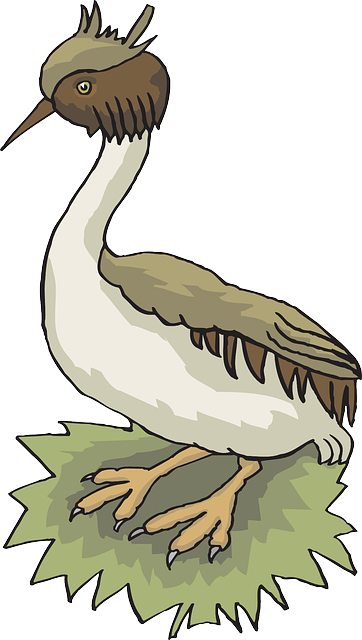 Species Bird, Grass, Wings, Grebe, Animal, Feathers, - Grebes (362x640)