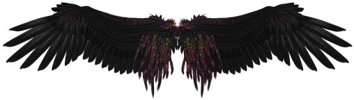Wing Feather Angel Fly Black Black Engel M - Angel Wings Png (510x340)