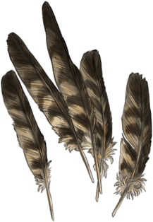 Sparrowhawk Feathers By Explrz - Headpiece (400x400)