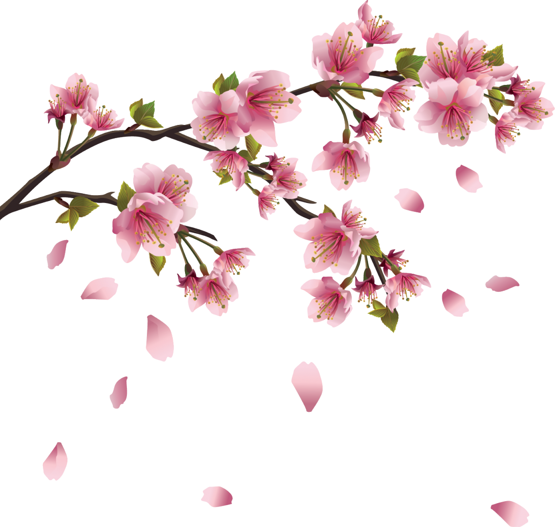 Cherry Blossom Clip Art - Fimoettout Nice Faux Leather Braid Bracelet Pink Lossom (1137x1080)