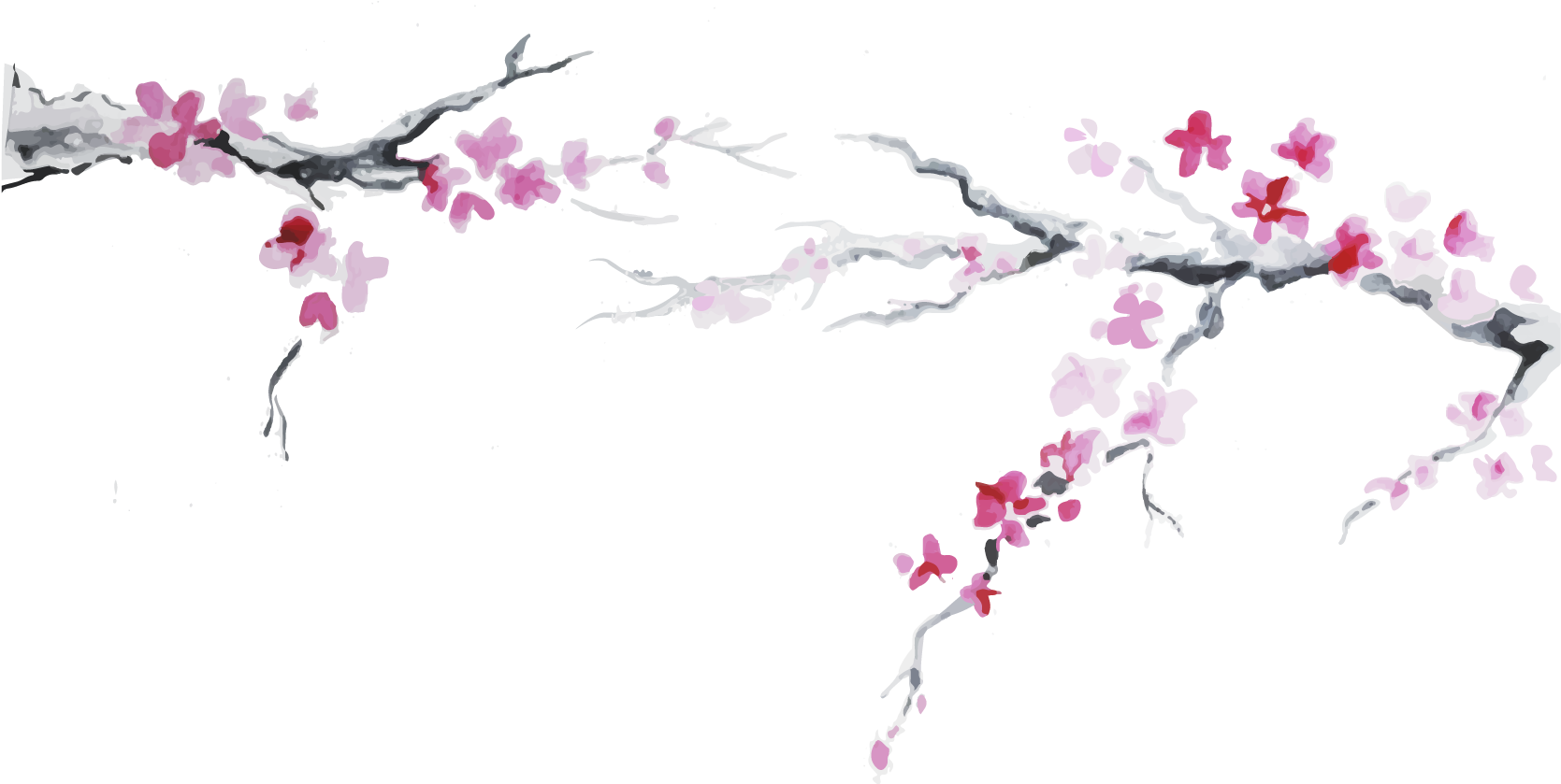 Japanese Cuisine Cherry Blossom Flag Of Japan - Japanese Cuisine Cherry Blossom Flag Of Japan (1680x838)