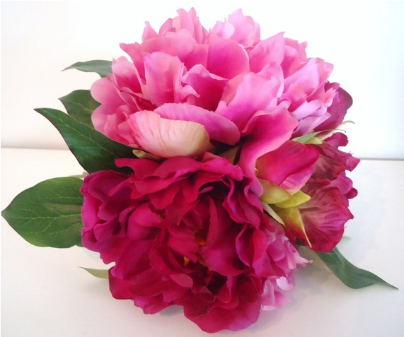Pivoine Rose Oil - Common Peony (800x800)