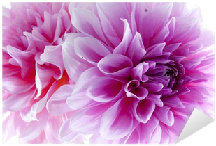 Nobody's Perfect - Trade Paperback (400x400)