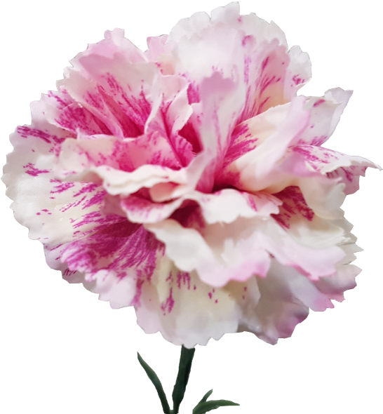 Cream Pink Carnation Artificial Faux Flower S9998crmpnk - Carnation (800x600)