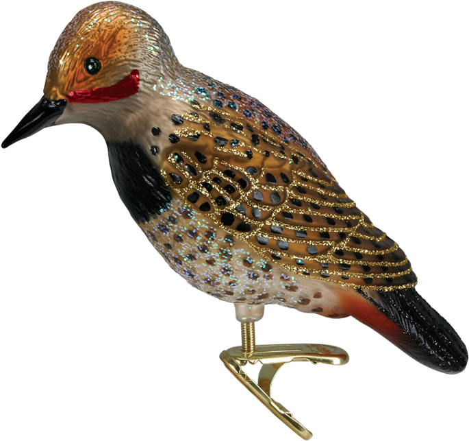 Northern Flicker Bird Clip Christmas Ornament - Northern Flicker Transparent (1000x1000)
