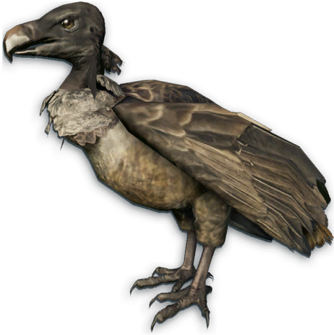 Bird Far Cry Instincts - Bird Far Cry Instincts (512x506)