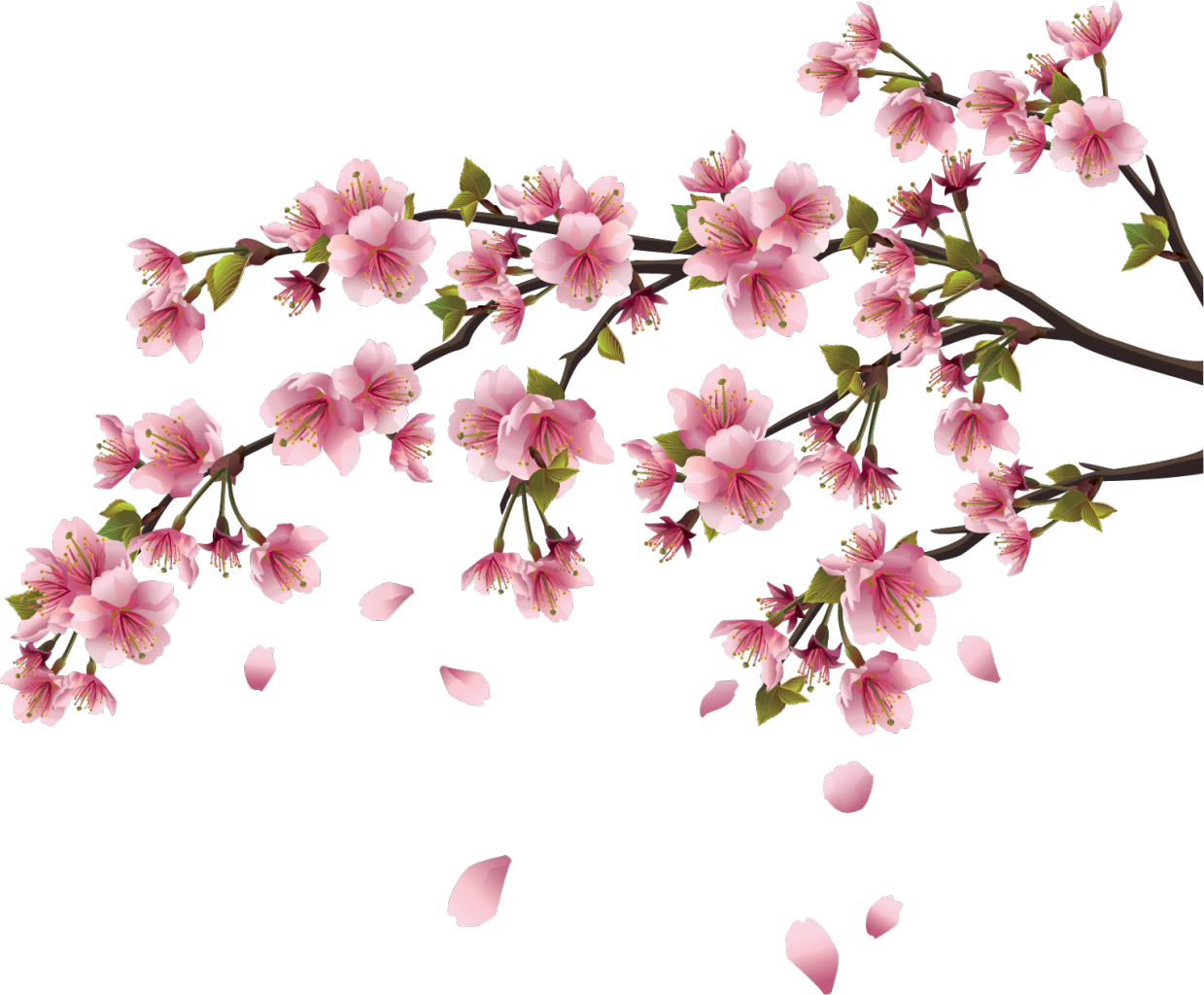 Cherry Blossom Wall Decal Branch - Cherry Blossom Wall Decal Branch (1239x1024)