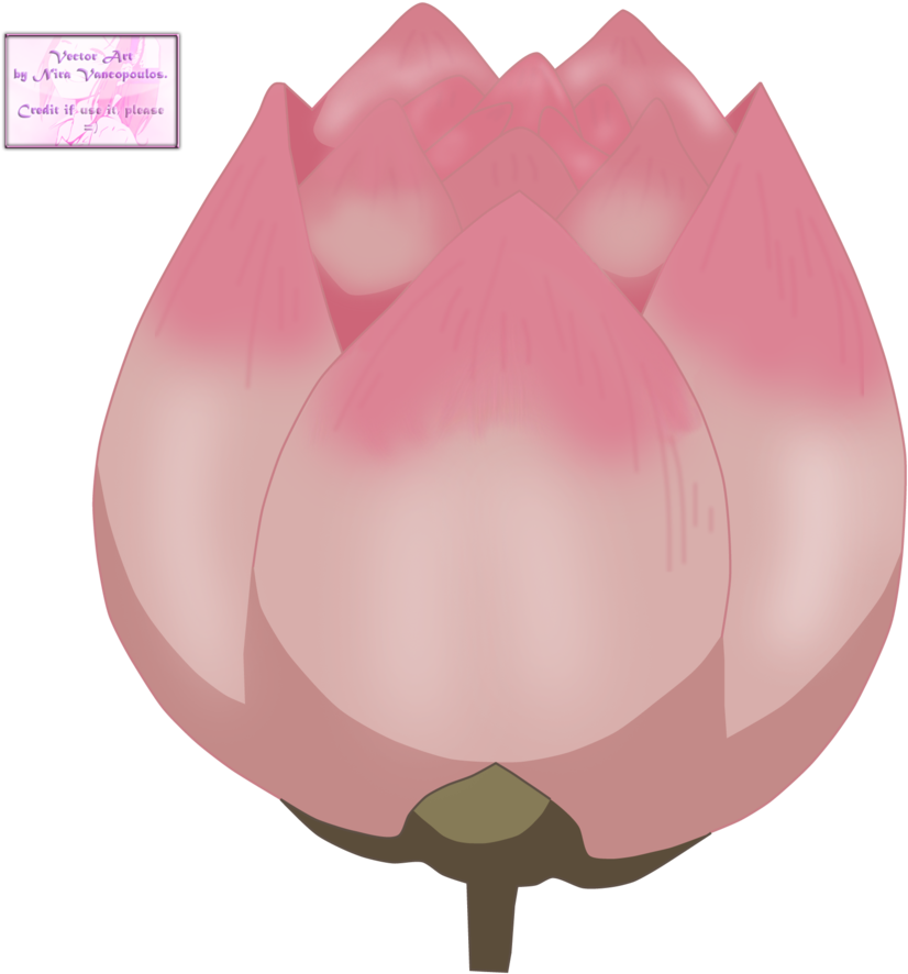 Anime Lotus Flower Gallery Flower Wallpaper Hd Anime - Lotus Flower Anime Png (900x893)