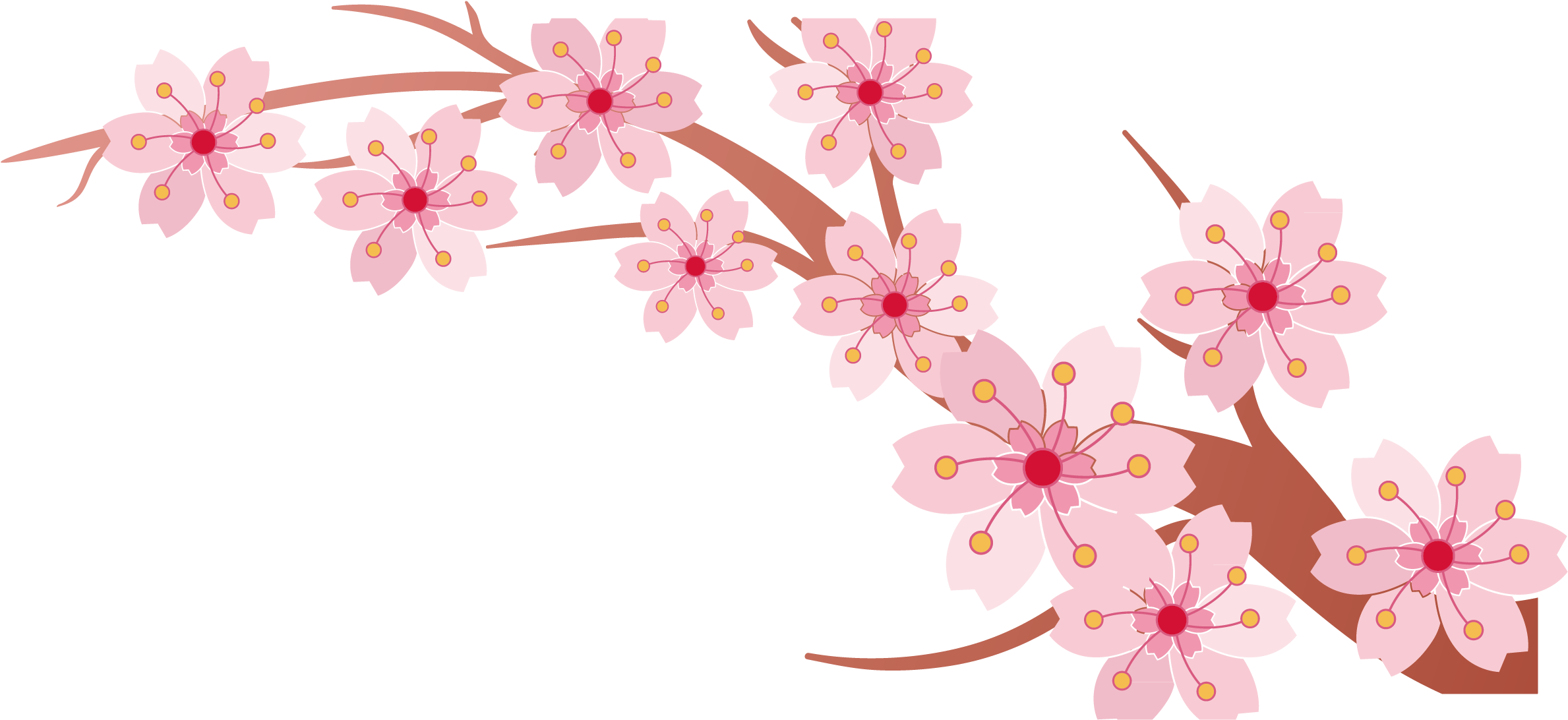 Cherry Blossom Branch Cerasus - Spring Banner (2925x2365)