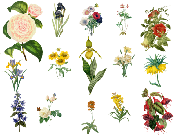 Vintage Flowers Set 2 Png By Chaseandlinda - Vintage Flowers Set (600x471)