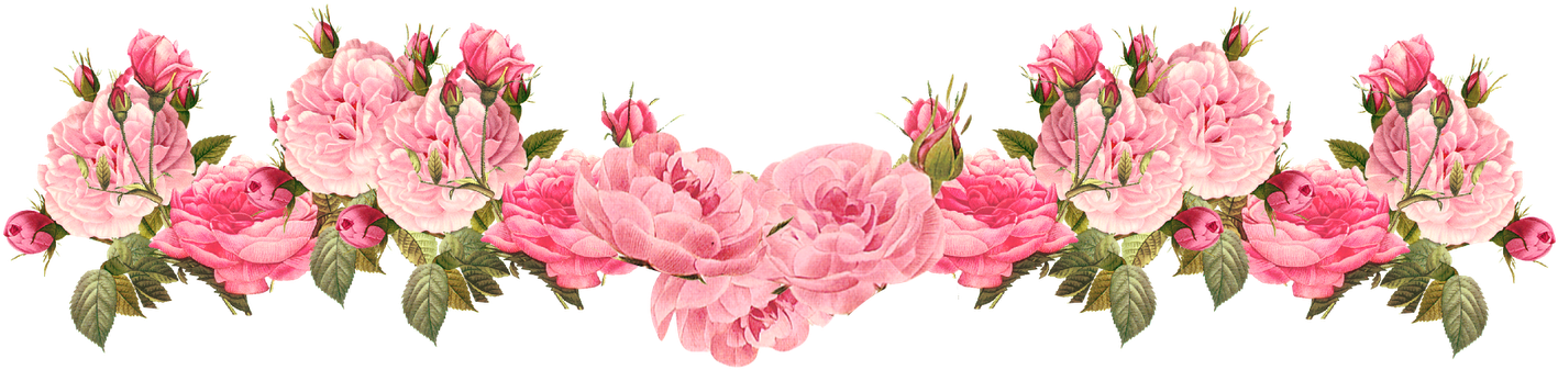 Pink Flowers Rose Clip Art - Floral Border Transparent Background (1600x465)