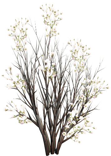 A Christmas Tree, A Flower - Mrutyuni Pankharma Vasant (gujarati) (357x500)