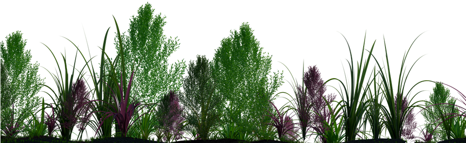 Plants Png 02 - Plantas Png (960x540)
