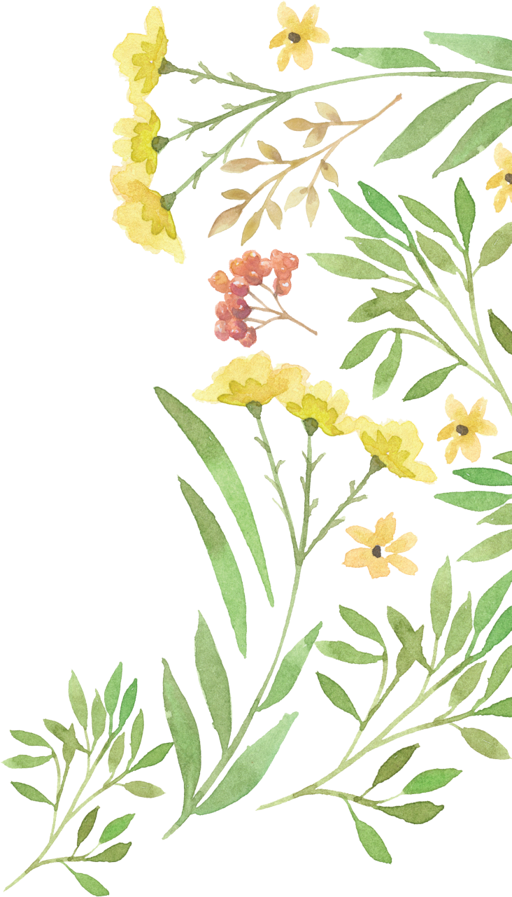 Wedding Invitation Flower Watercolor Painting Clip - 2017 Dated Planner: 2 Page Monthly Spread-weekly Day (1223x1280)