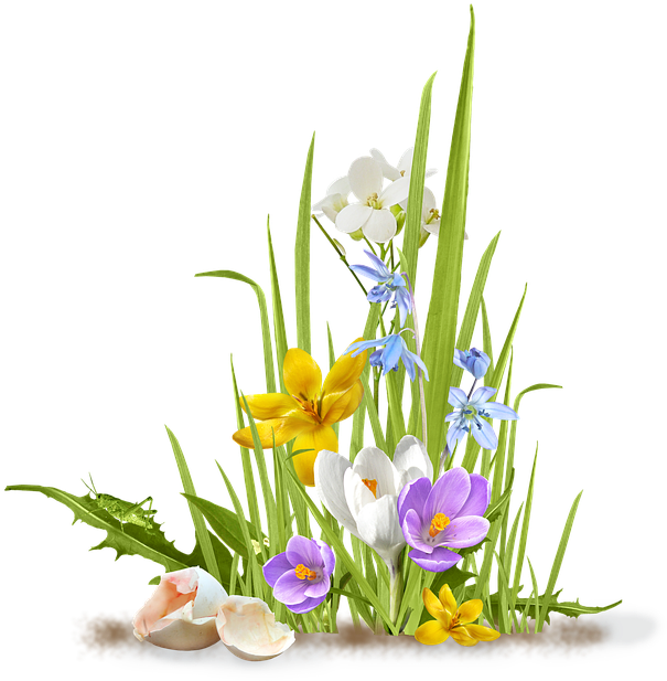 Spring, Flower, Crocus, Saffron, Grass, Shell, Egg - Spring Flower Png (622x640)