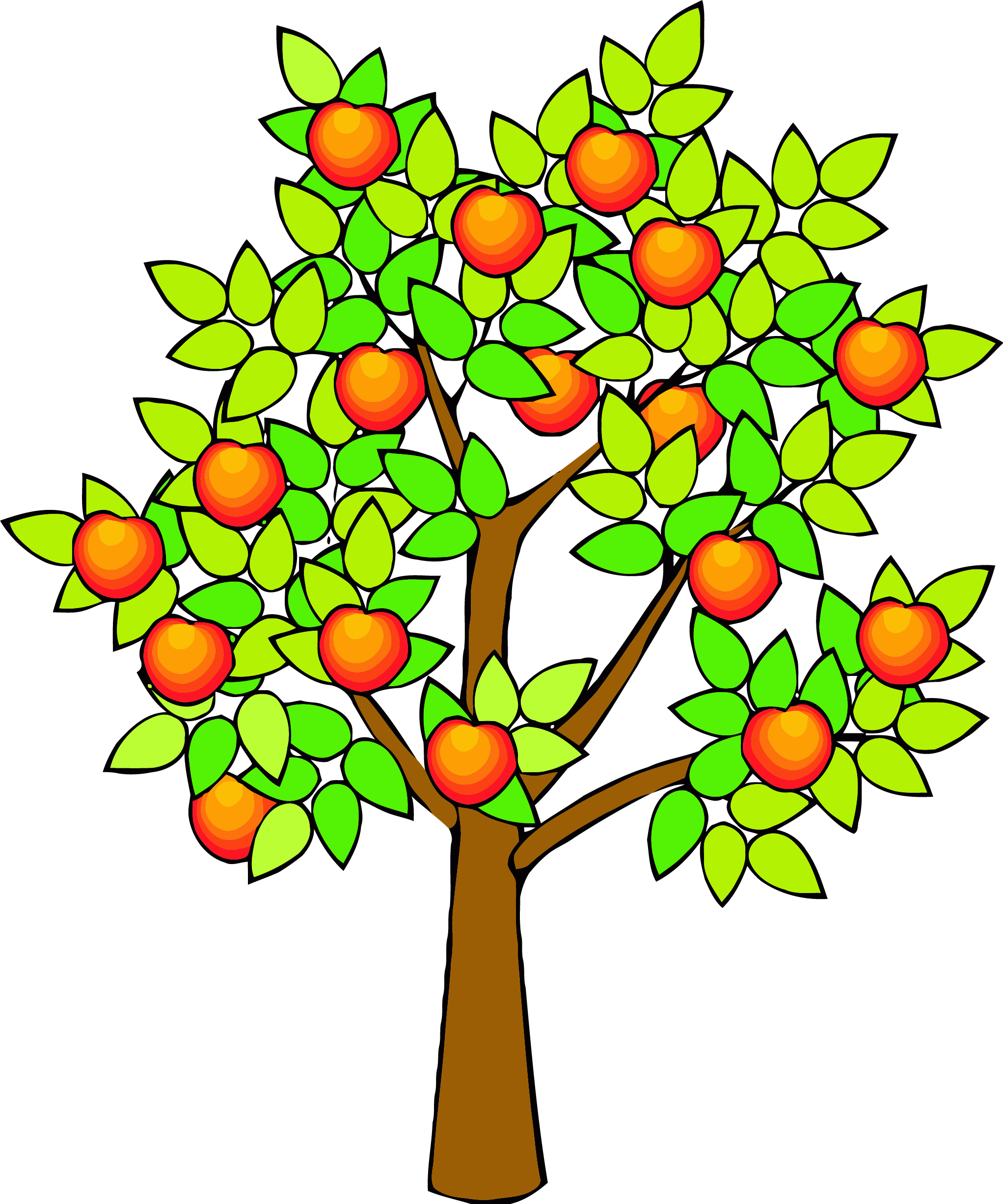 Spring Green Tree Clipart Png - Draw A Realistic Apple Tree (2043x2451)