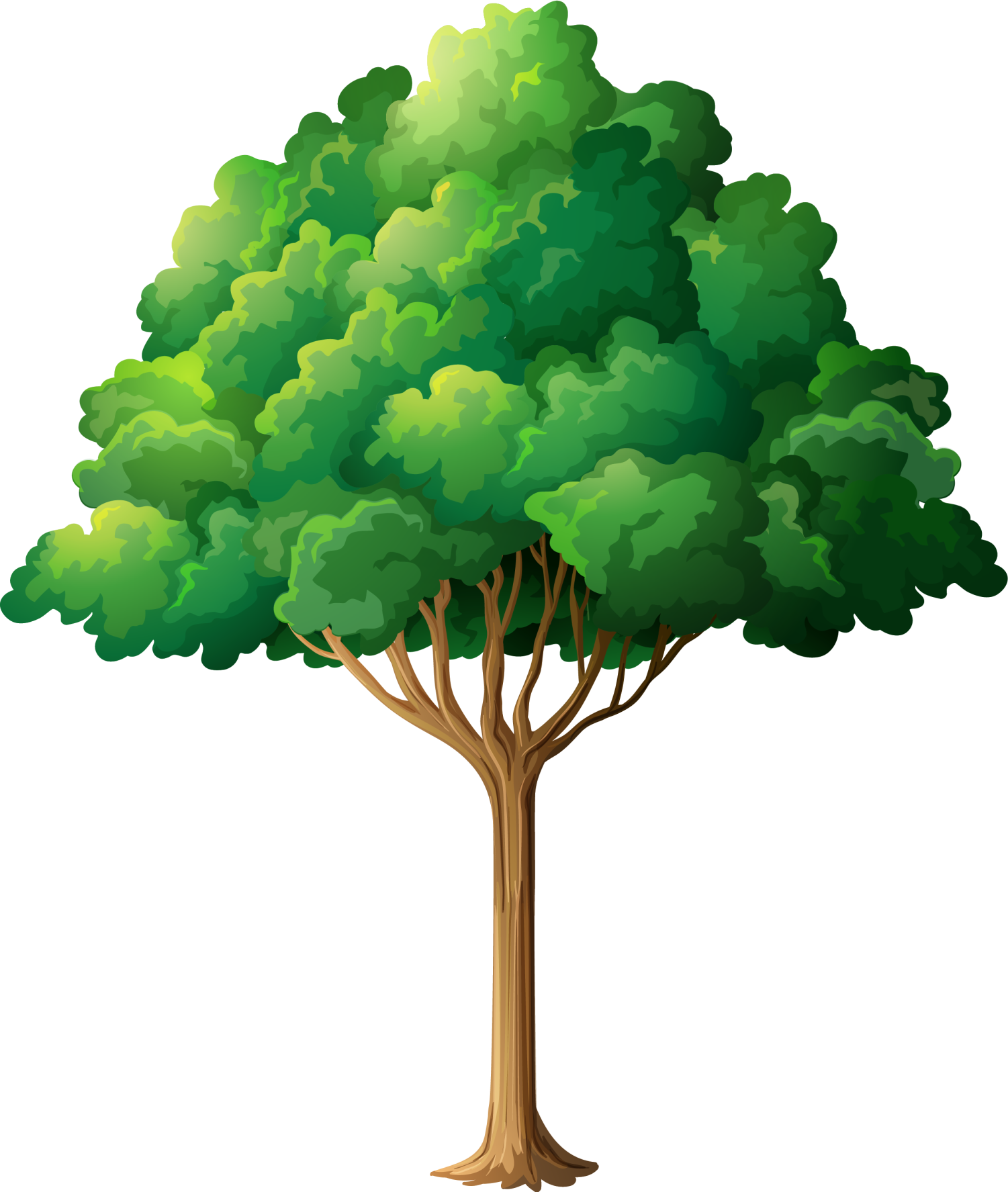 Tree Planting Branch Clip Art - Tree Planting Branch Clip Art (1501x1775)