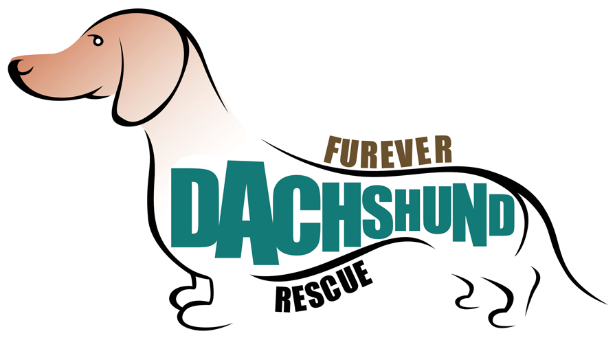 Blue/brown Logo - Mini Dachshund Rescue California (1013x586)