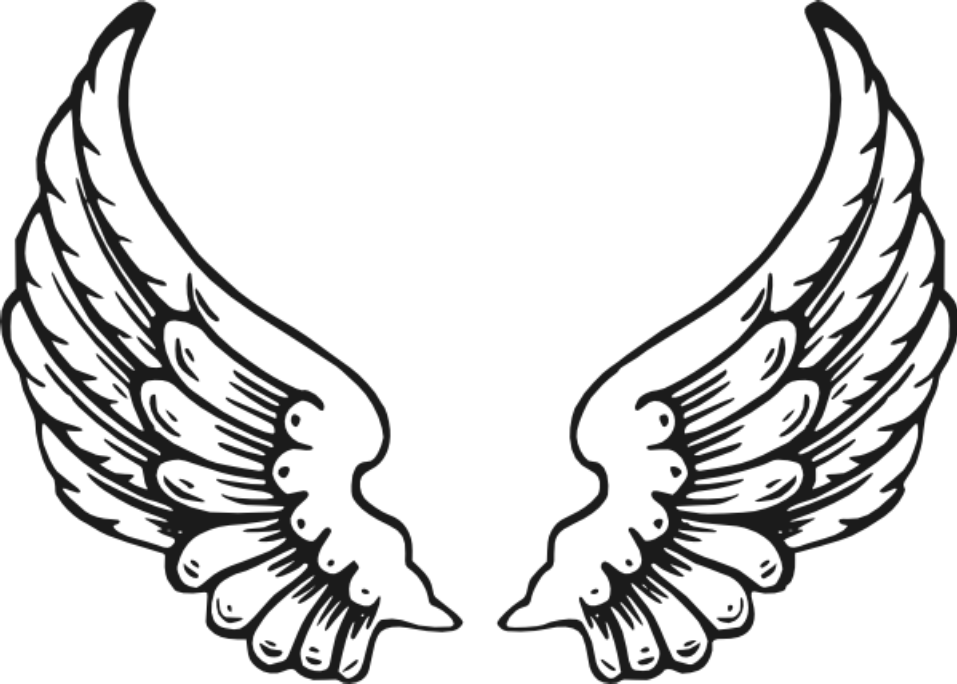 2015 Privacy Policy - Angel Wings (957x684)