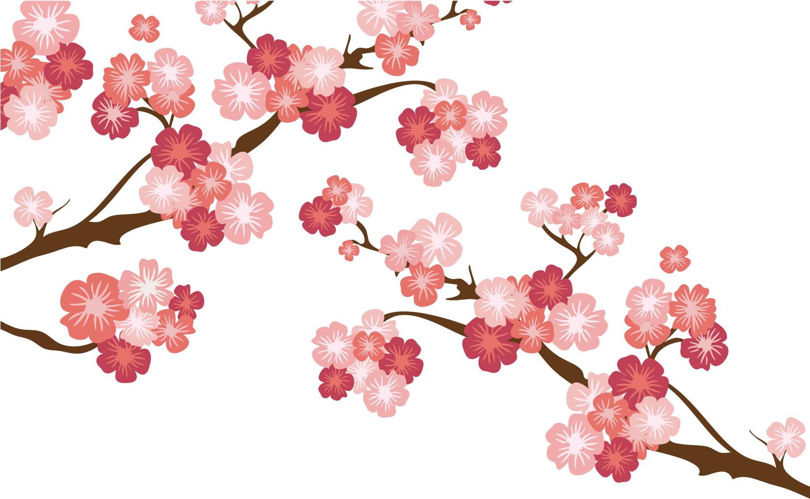 Wedding Invitation National Cherry Blossom Festival - Japanese Cherry Blossom Transparent (1875x1875)