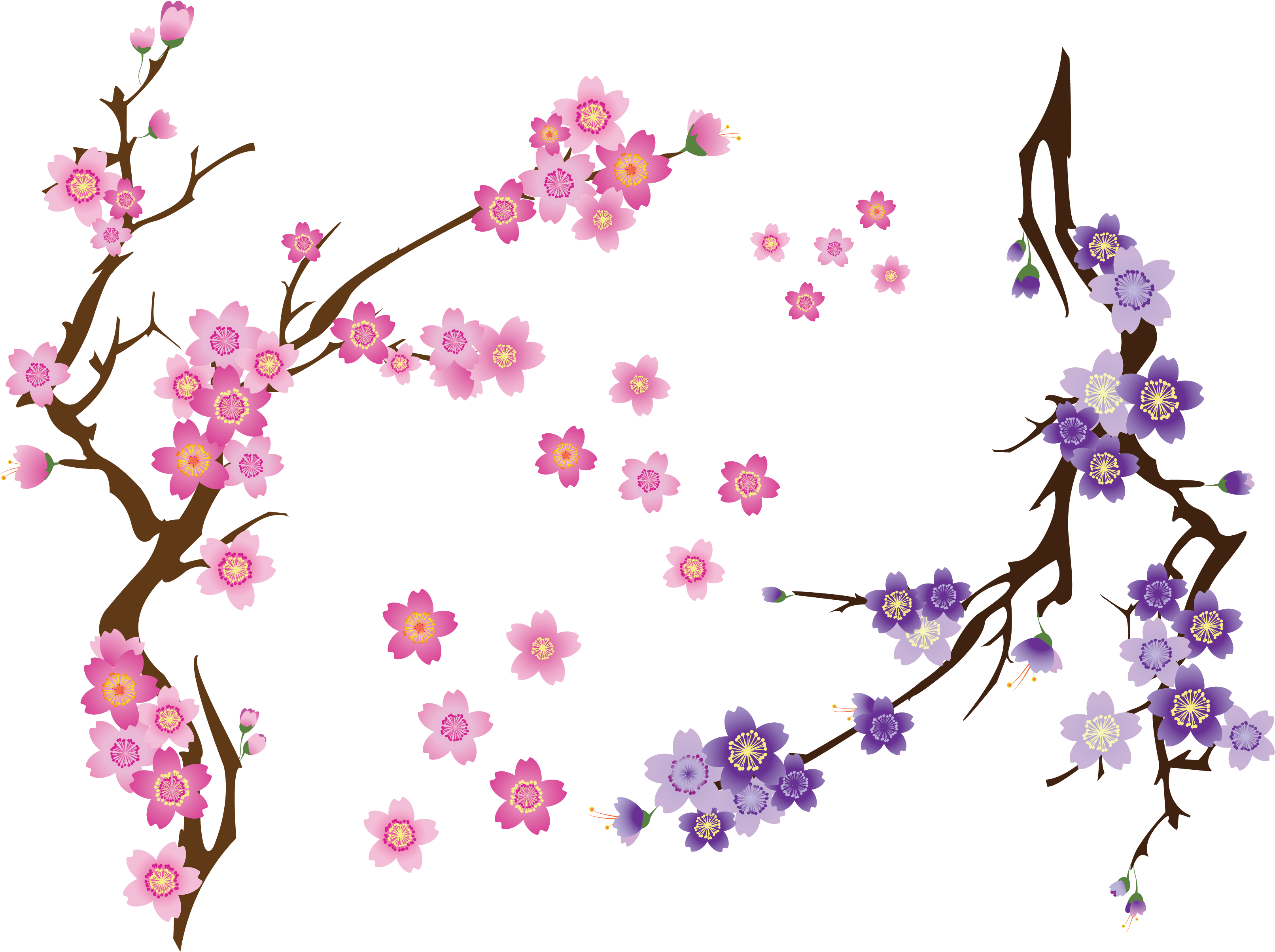 Cherry Blossom Drawing Clip Art - Cherry Blossom Drawing Clip Art (3300x2550)