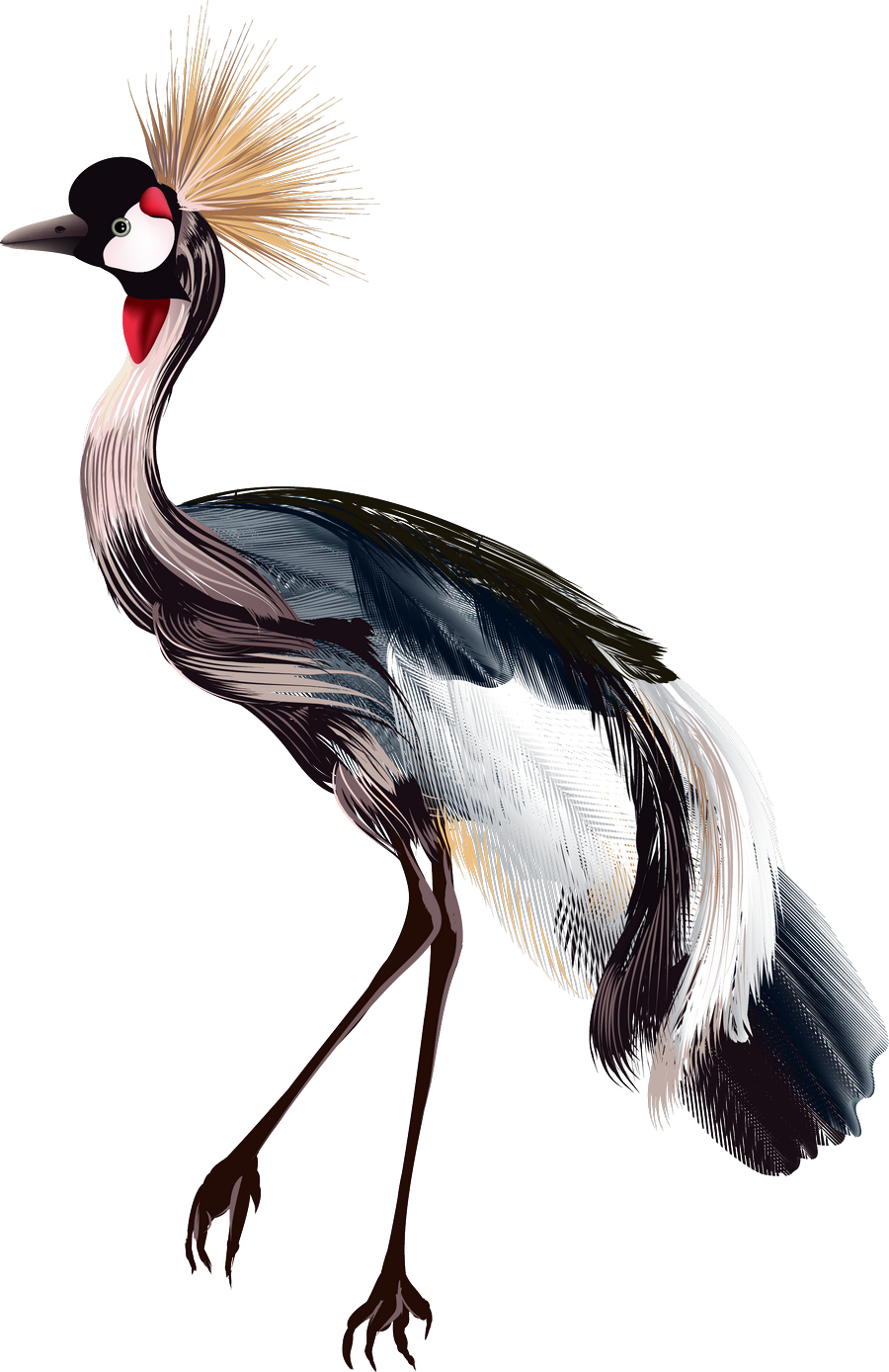 Crane Bird Drawing Watercolor Painting - Crane Bird Drawing Watercolor Painting (900x1388)