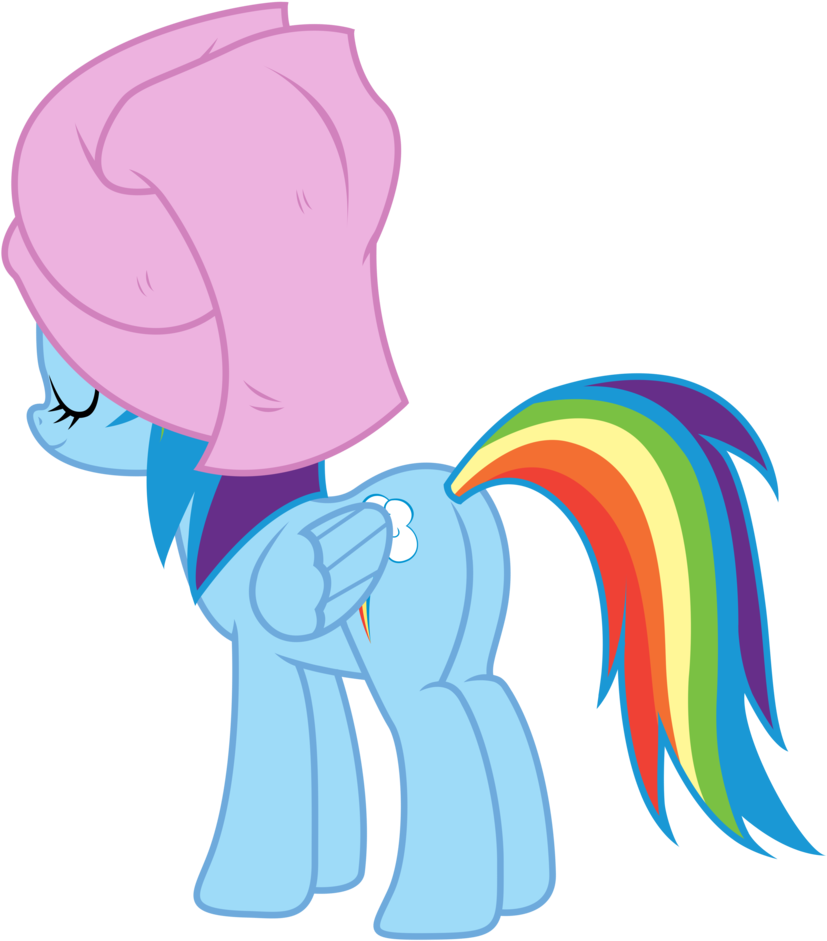 Rainbow Dash - Mlp Rainbow Dash Plot (836x955)