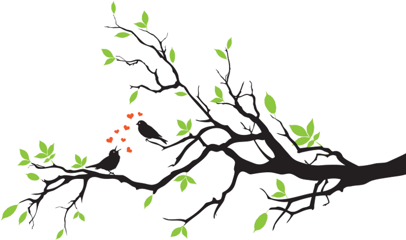 Birds On Branch In Love Wall Decal - Love Birds Transparent Background (800x550)