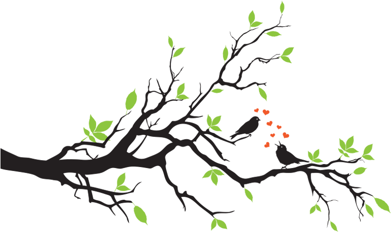 Birds On Branch In Love Wall Decal - Two Love Birds On A Branch (800x550)
