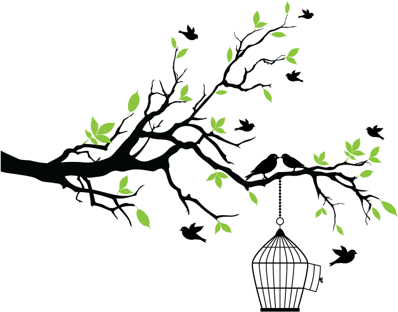 Aves Flores Vintage Dibujos Png - Tree Branch Vector (800x800)