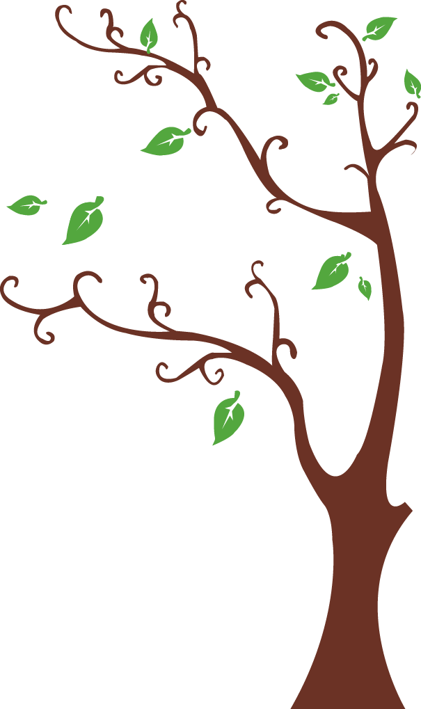 Picture Frame Tree Sticker Decal Wall - Excellent Shop Super Large Brown Tree Photos Frames (605x1019)
