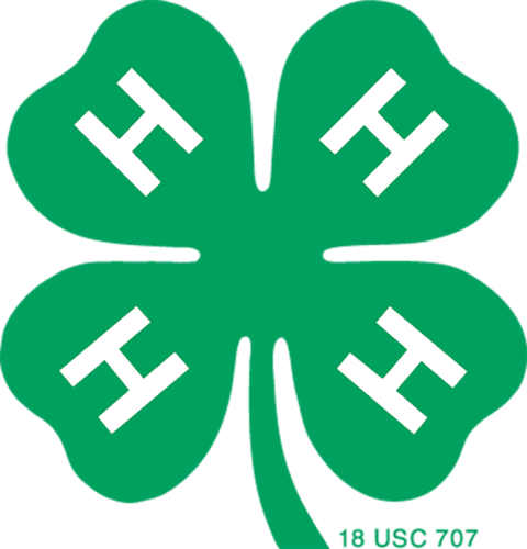 Health 4-h Helps Kids Make Healthy Choices To Keep - 4 H Nebraska (480x500)