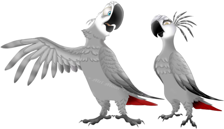 African Grey Parrots By Melhellmoon On Deviantart - African Grey Parrot Art (800x600)