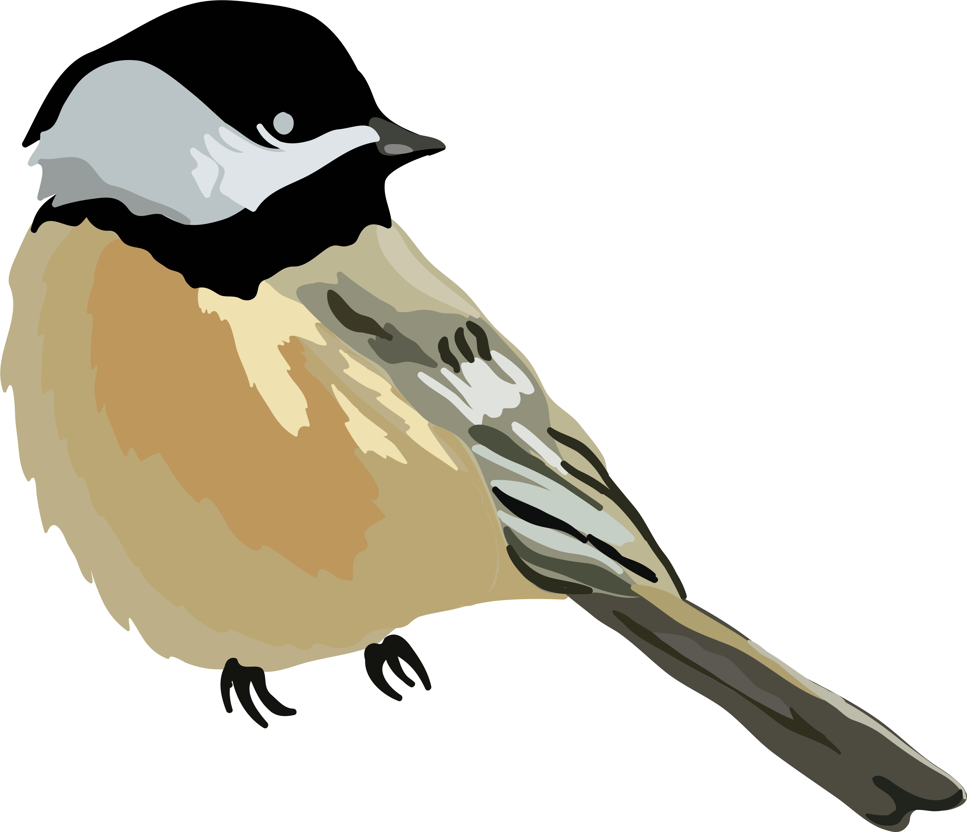 Bird House Sparrow Cartoon Drawing - Bird House Sparrow Cartoon Drawing (4000x4000)