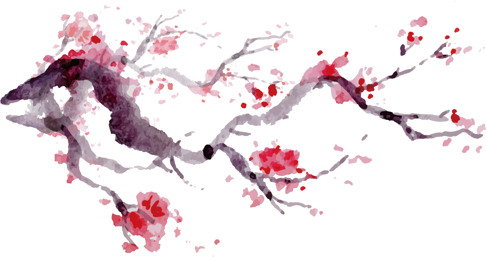 Vector Ink Japanese Cherry Blossoms - Japanese Cherry Blossom Vector (1875x1875)