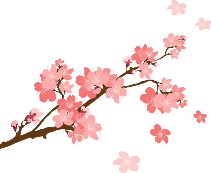 Wall Sticker Offerta Wall Stickers Ciliegio Fiorito - Cherry Blossom Letters (695x570)