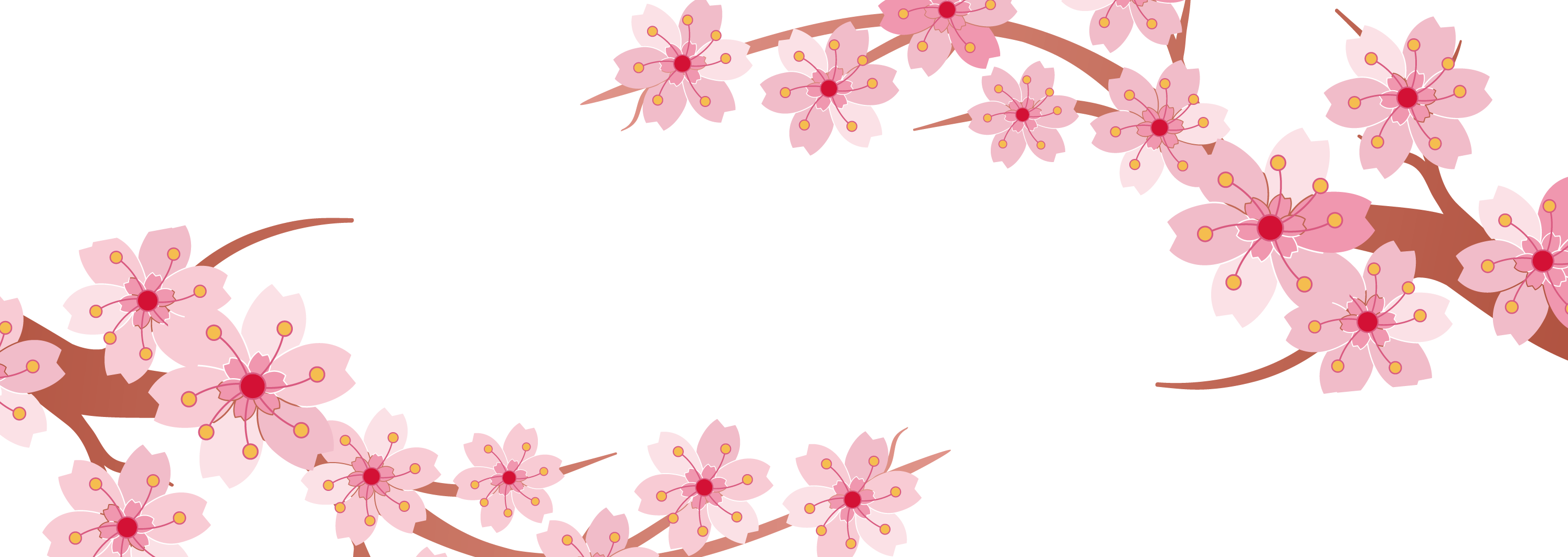 Cherry Blossom Banner - Cherry Blossom Art Background (2988x1062)