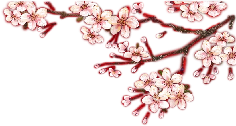 Cherry Blossom Petal Fashion Accessory Jewellery - Cherry Blossom Petal Fashion Accessory Jewellery (1001x485)