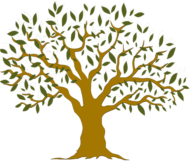 Shop Olivewood Tree Of Life Devotional Art & Home Decor - The Happy Yogi: (788x714)