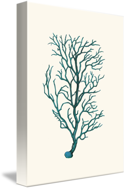 Share On Tumblr - Americanflat Samantha Ranlet Coral Graphic Art (429x650)