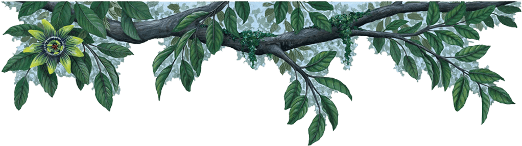 Border Green Flower Wall Decal Sticker - Palm Tree Border Transparent (1024x439)