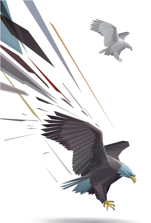 Bald Eagle Drawing Illustration - Bald Eagle Drawing Illustration (564x763)